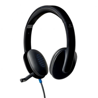 Logitech H540 Auriculares Con Microfono Usb - Microfono Plegable - Diadema Ajustable - Almohadillas Acolchadas - Controles En Auricular - Cable De 1.80M - Color Negro